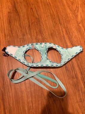 Aqua Plaid Small Pet Harness with Matching Leash